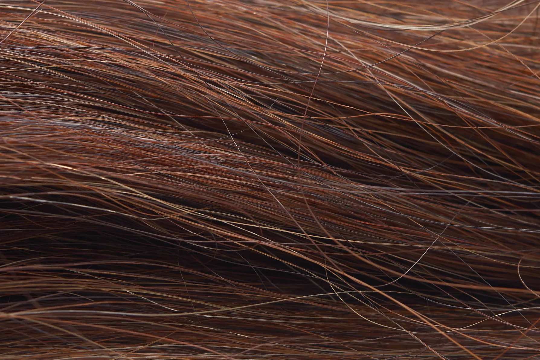 Ein Bund Rosshaar, Detailansicht